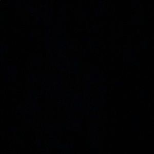 Meet your Posher, Wayne